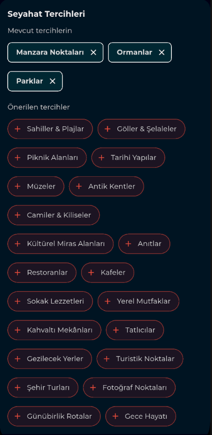 Seyahat Tercihleri